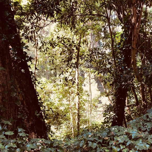 Meet Your Posher, Luisa - Picture 1 of 1